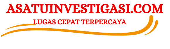 asatuinvestigasi.com